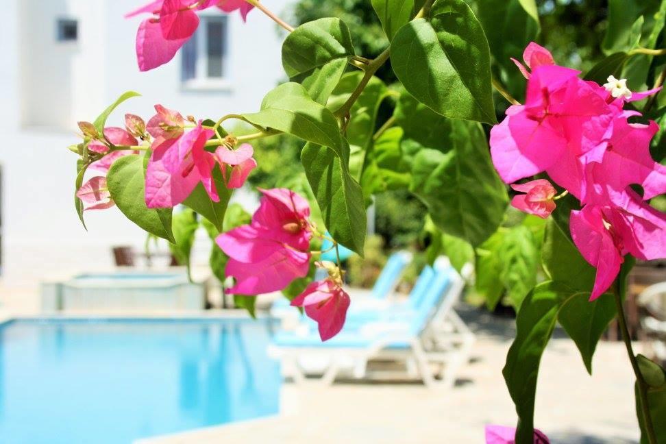 Parla Apart Hotel Чесме Екстериор снимка
